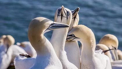 重庆最新的高价医保个人账户余额微信查询方法分享(重庆医保查询个人账户明细怎么查微信教程)